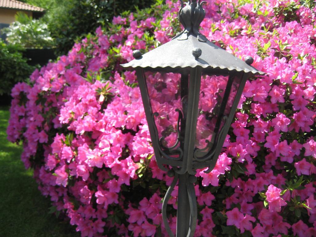 Lake Maggiore Villa Margherita מראה חיצוני תמונה