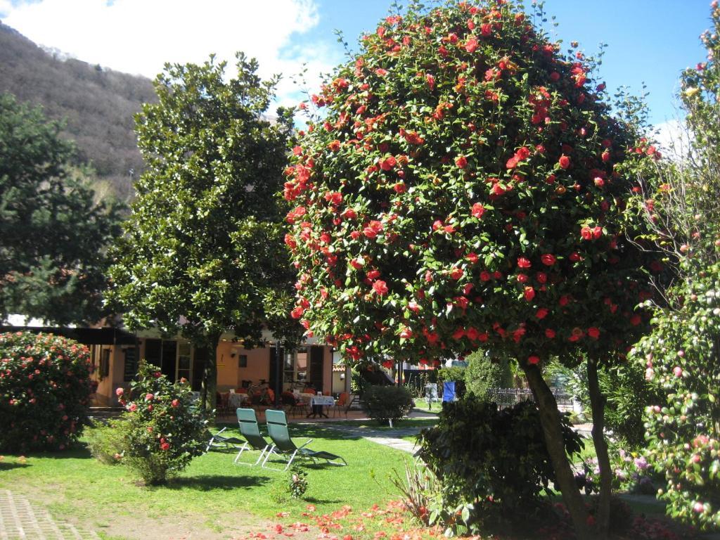 Lake Maggiore Villa Margherita מראה חיצוני תמונה